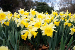DSCF5318-ps